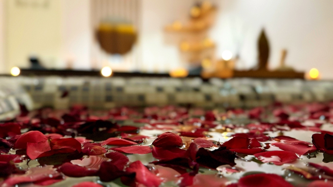 بهترین خدمات ورزشی